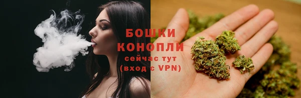 spice Верхний Тагил