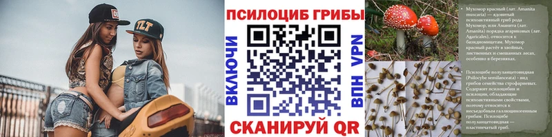 Галлюциногенные грибы Psilocybine cubensis блэк спрут как войти Зверево купить цена